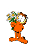 74.gif